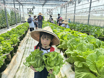 透過農業設施導入智慧農業輔助系統,辦理學校及企業採果體驗及導覽解說